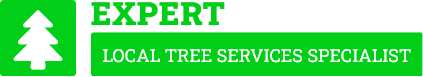 Invercargill Tree Care - Tree Removal Invercargill